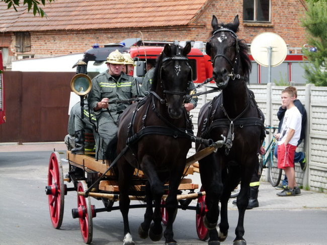 Sikali w Święciechowie (zdjęcia)