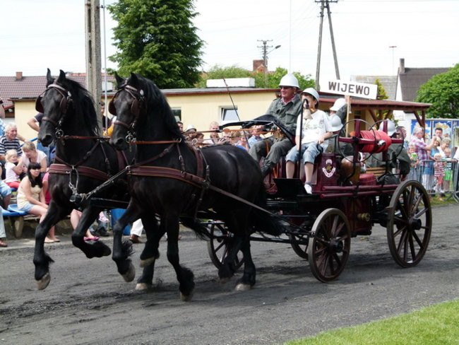 Sikali w Święciechowie (zdjęcia)