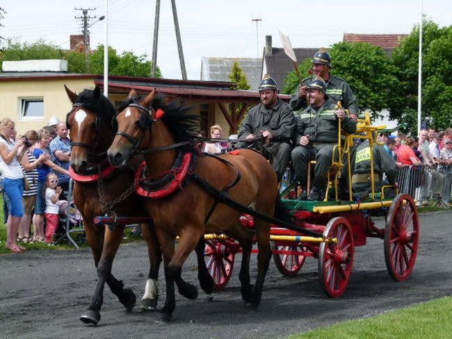 Sikali w Święciechowie (zdjęcia)