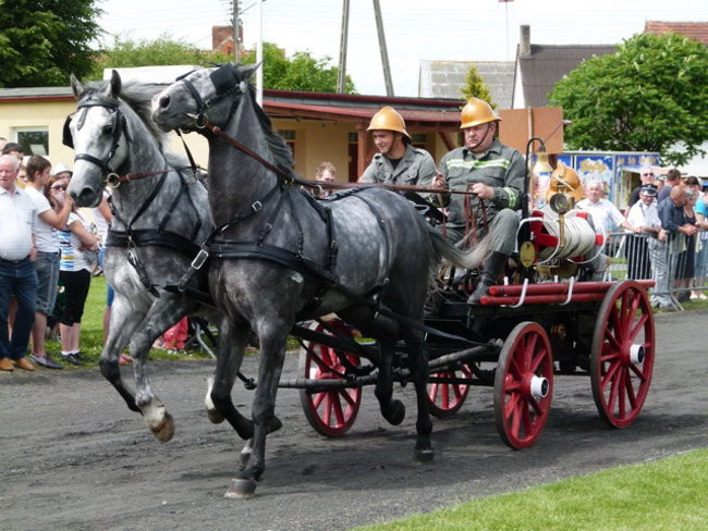 Sikali w Święciechowie (zdjęcia)