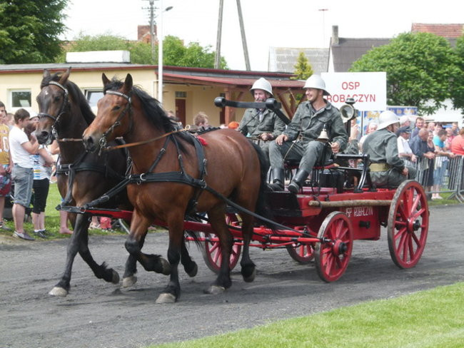 Sikali w Święciechowie (zdjęcia)