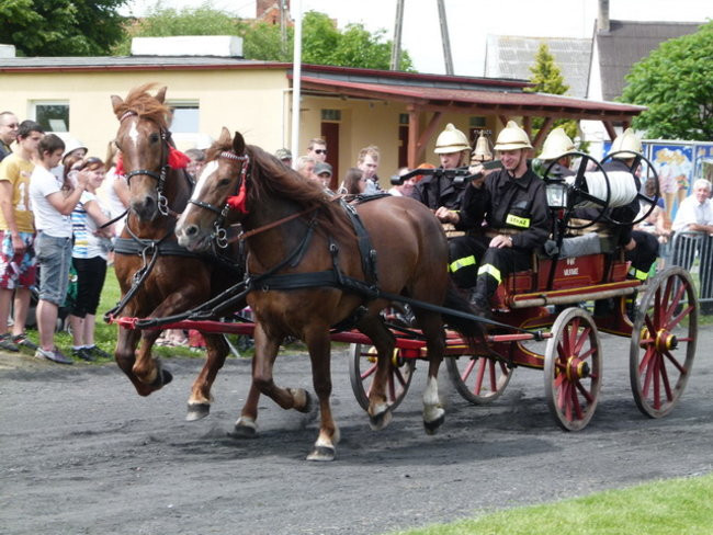 Sikali w Święciechowie (zdjęcia)