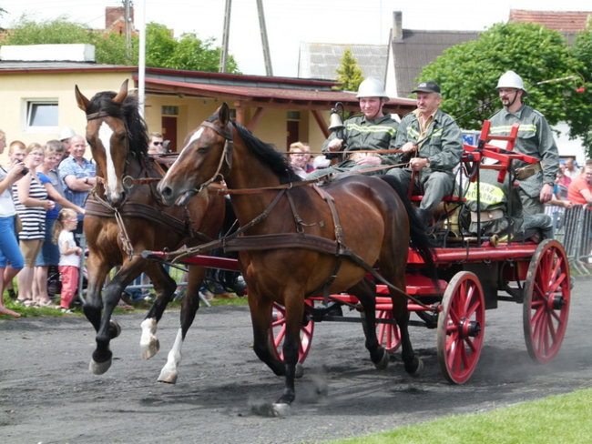 Sikali w Święciechowie (zdjęcia)