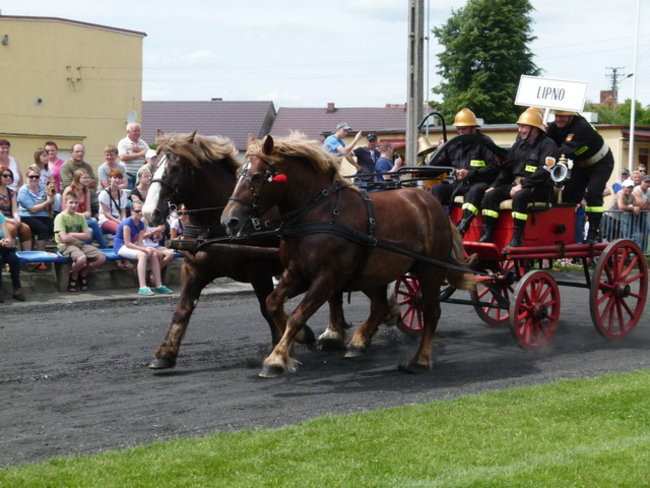 Sikali w Święciechowie (zdjęcia)