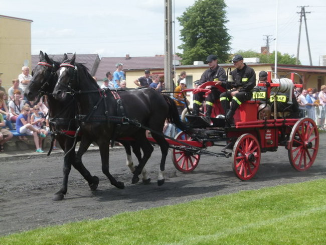Sikali w Święciechowie (zdjęcia)