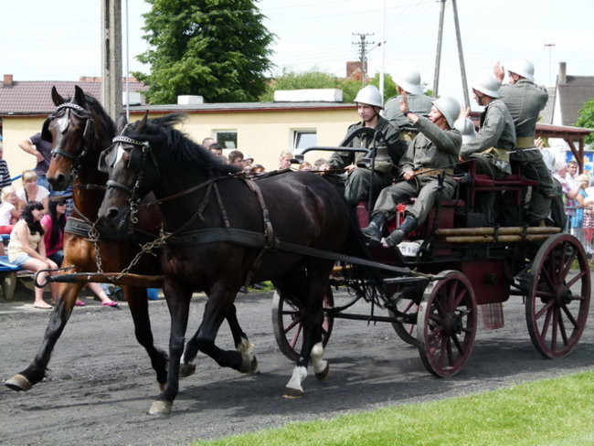 Sikali w Święciechowie (zdjęcia)