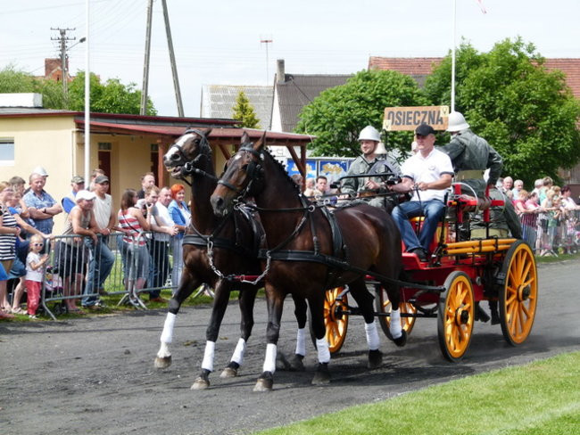 Sikali w Święciechowie (zdjęcia)