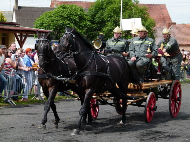 Sikali w Święciechowie (zdjęcia)