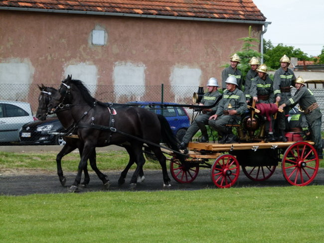 Sikali w Święciechowie (zdjęcia)