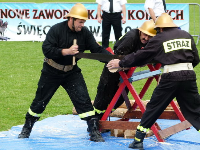 Sikali w Święciechowie (zdjęcia)