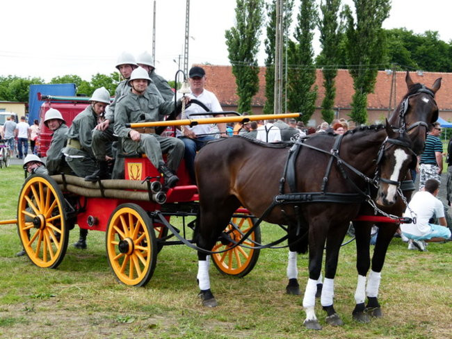 Sikali w Święciechowie (zdjęcia)