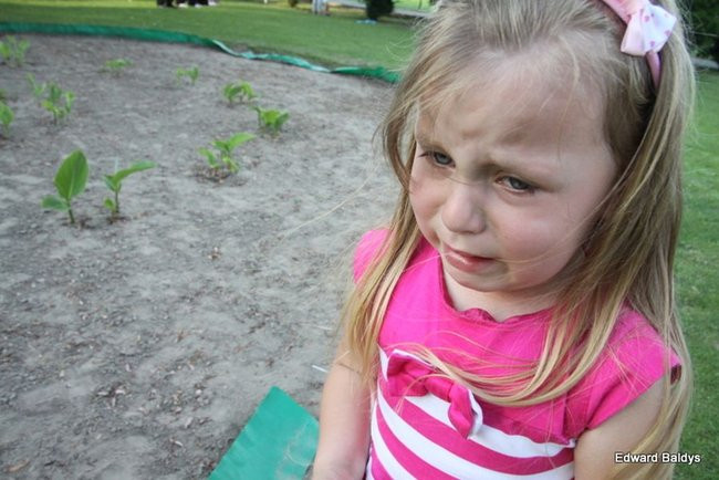 Rodzinnie w Zaborowie (zdjęcia)