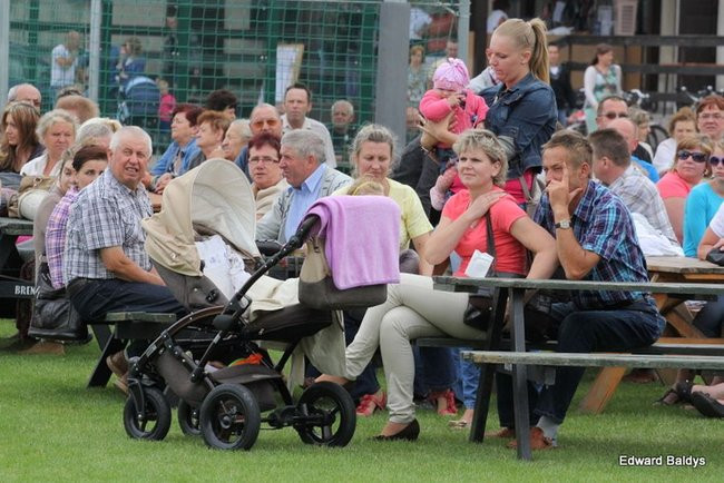 Wijewiada 2013 (zdjęcia)