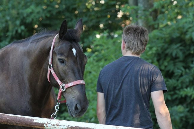 Piknik konny w Jeziorkach (zdjęcia)