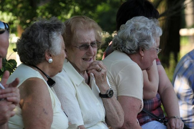 Piknik konny w Jeziorkach (zdjęcia)