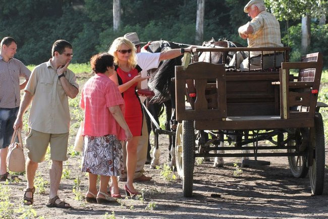 Piknik konny w Jeziorkach (zdjęcia)