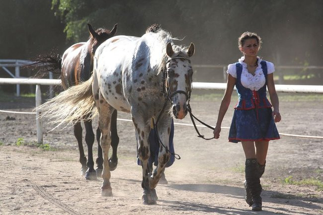 Piknik konny w Jeziorkach (zdjęcia)