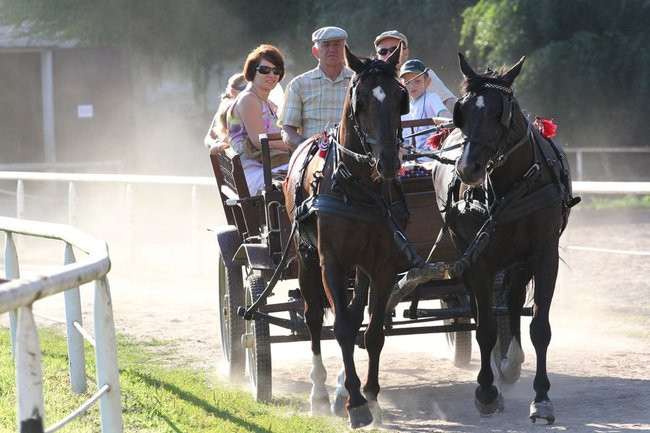 Piknik konny w Jeziorkach (zdjęcia)