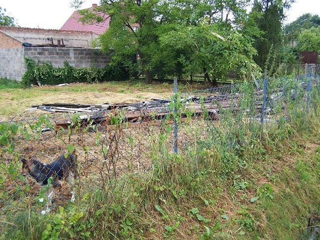 Nawałnice blisko Leszna (zdjęcia)