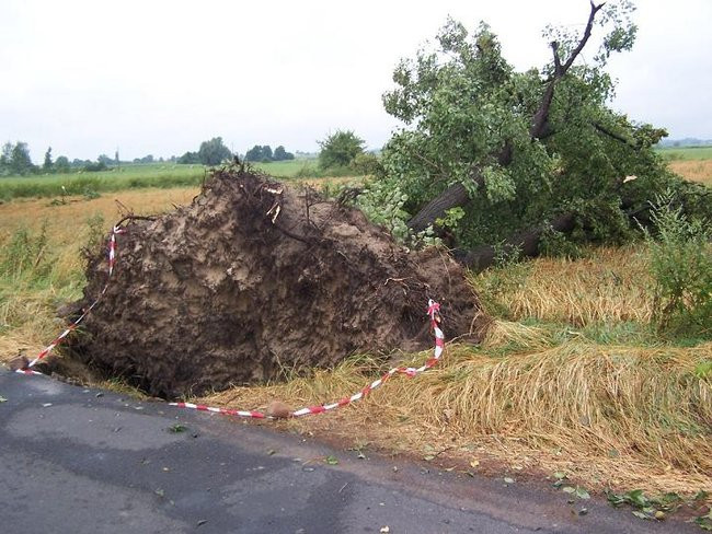 Nawałnice blisko Leszna (zdjęcia)