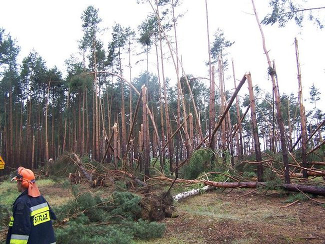 Nawałnice blisko Leszna (zdjęcia)