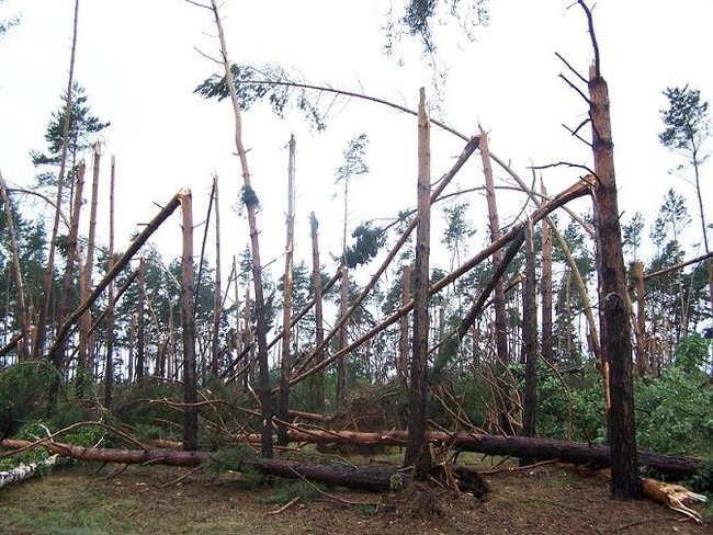 Nawałnice blisko Leszna (zdjęcia)