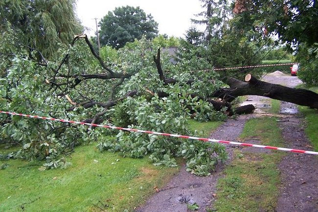 Nawałnice blisko Leszna (zdjęcia)