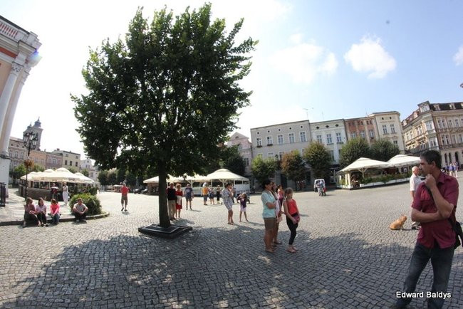 Muzyczna Niedziela z Holidays (zdjęcia)