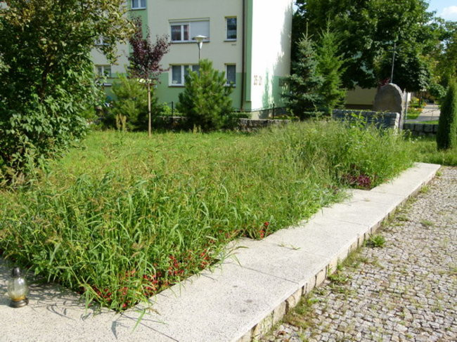 Sokoły zadbały o mogiły (zdjęcia)