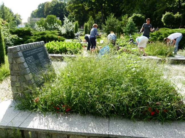 Sokoły zadbały o mogiły (zdjęcia)