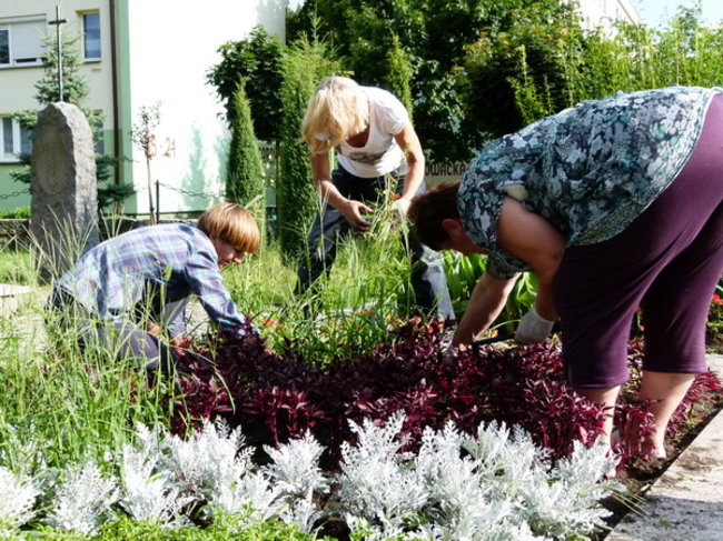 Sokoły zadbały o mogiły (zdjęcia)