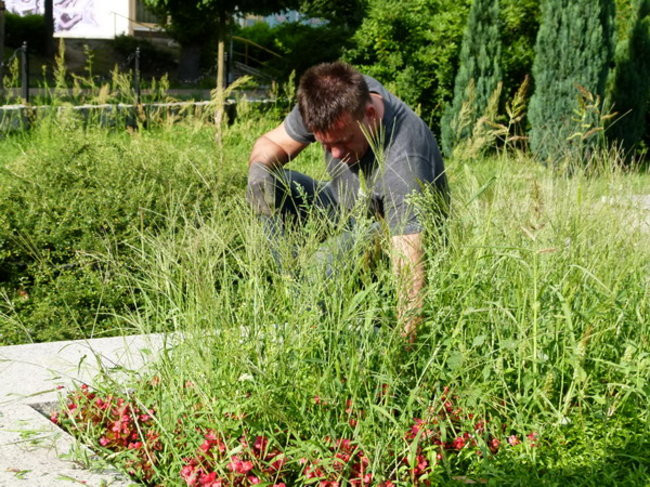 Sokoły zadbały o mogiły (zdjęcia)