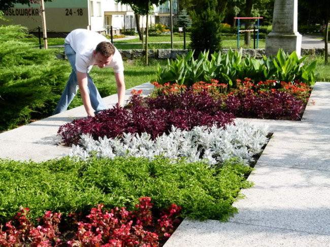 Sokoły zadbały o mogiły (zdjęcia)