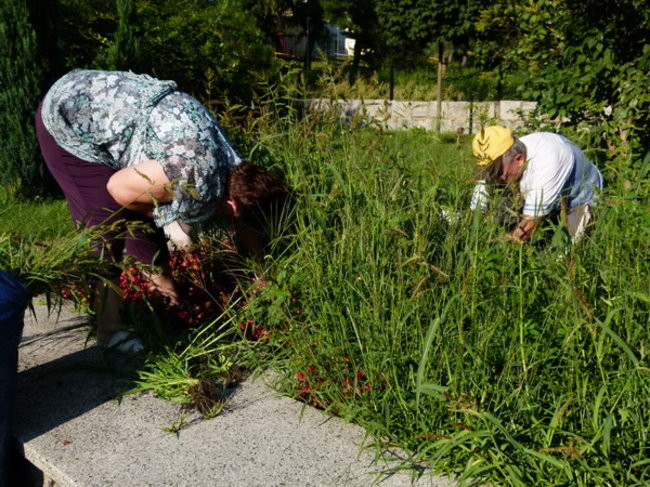 Sokoły zadbały o mogiły (zdjęcia)