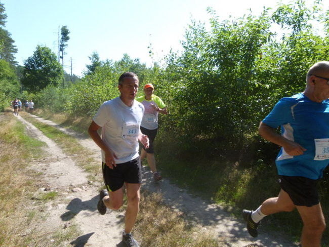 Koleżeńsko w cieniu bukowego lasu (zdjęcia)