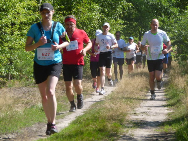 Koleżeńsko w cieniu bukowego lasu (zdjęcia)