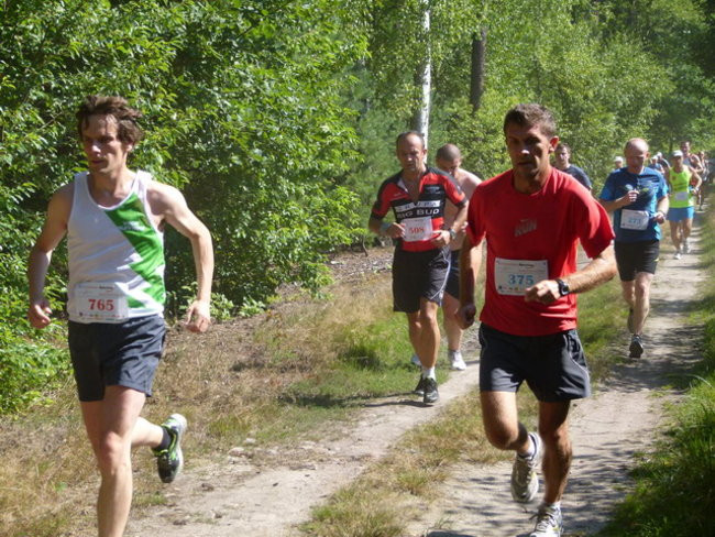 Koleżeńsko w cieniu bukowego lasu (zdjęcia)