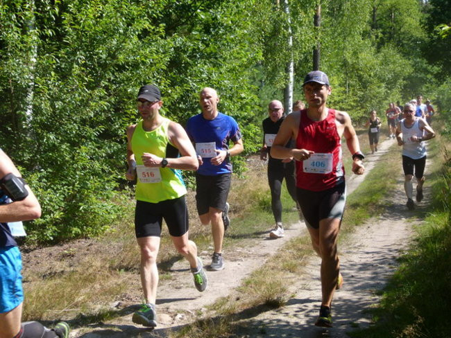 Koleżeńsko w cieniu bukowego lasu (zdjęcia)