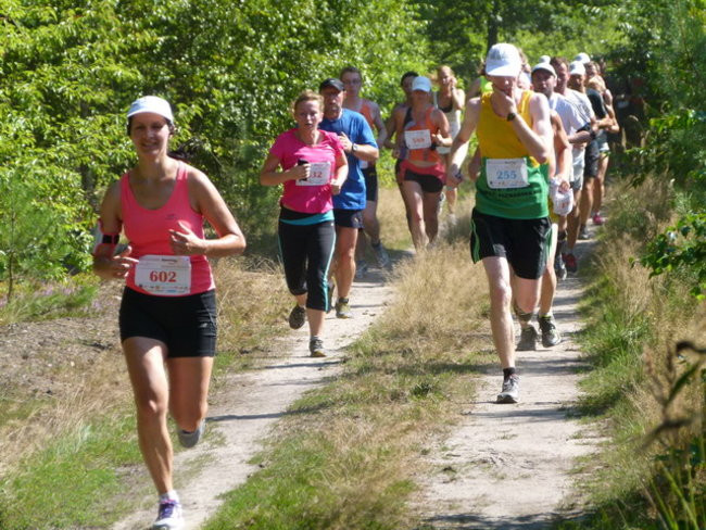 Koleżeńsko w cieniu bukowego lasu (zdjęcia)