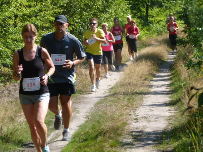Koleżeńsko w cieniu bukowego lasu (zdjęcia)