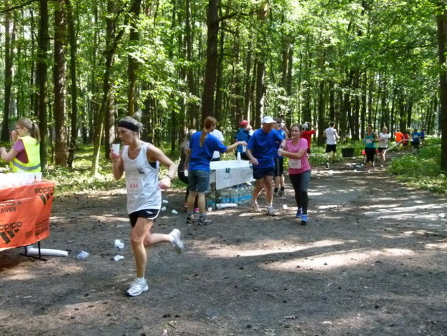 Koleżeńsko w cieniu bukowego lasu (zdjęcia)