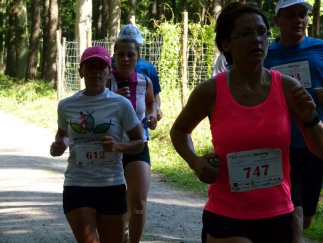 Koleżeńsko w cieniu bukowego lasu (zdjęcia)