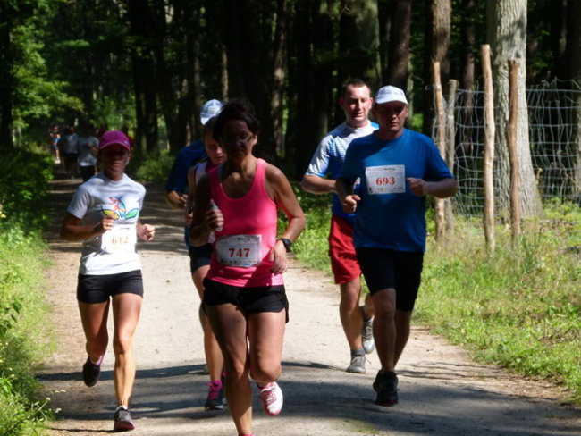 Koleżeńsko w cieniu bukowego lasu (zdjęcia)