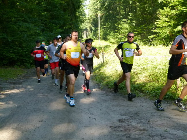 Koleżeńsko w cieniu bukowego lasu (zdjęcia)