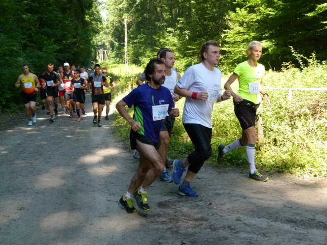 Koleżeńsko w cieniu bukowego lasu (zdjęcia)