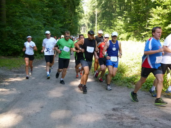 Koleżeńsko w cieniu bukowego lasu (zdjęcia)