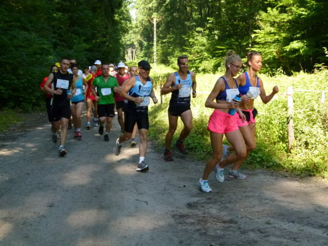 Koleżeńsko w cieniu bukowego lasu (zdjęcia)