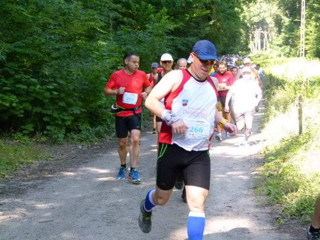 Koleżeńsko w cieniu bukowego lasu (zdjęcia)