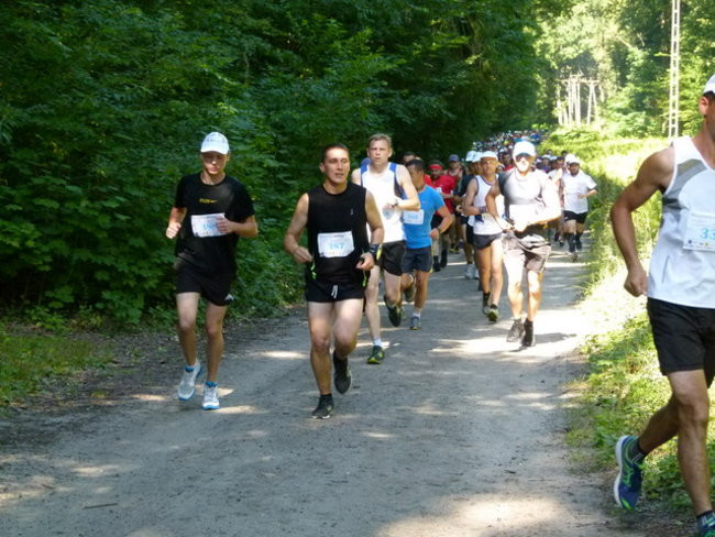 Koleżeńsko w cieniu bukowego lasu (zdjęcia)