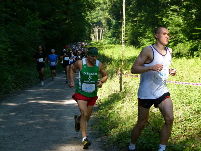 Koleżeńsko w cieniu bukowego lasu (zdjęcia)